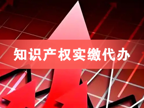 庆阳知识产权实缴资本代办